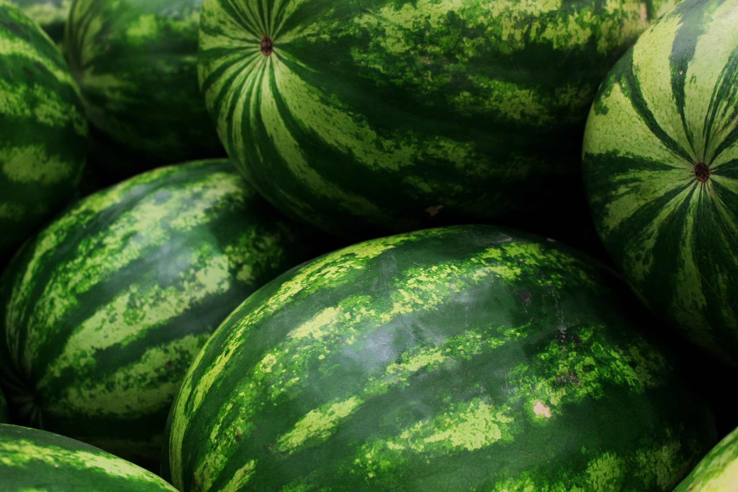 17 Watermelons